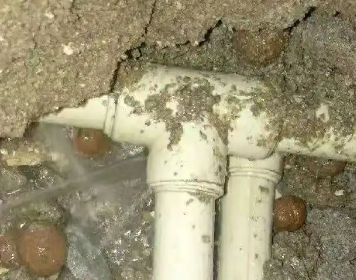 龙亭测漏水多少钱