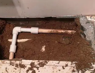 龙亭测漏水哪家好