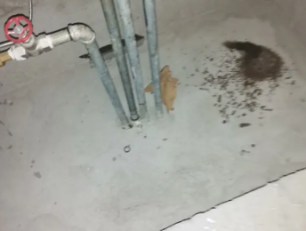 龙亭卫生间测漏水价格明细