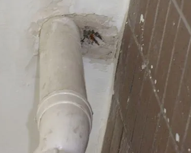 龙亭漏水检测哪家好